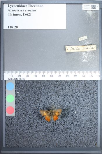 Media type: image;   Entomology 68201